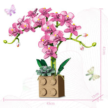Load image into Gallery viewer, Building Block Flower Orchid Series Bonsai Girl Build Toy Flowers Adult Flower Arrangement Assembly Toys For Gifts