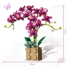 Load image into Gallery viewer, Building Block Flower Orchid Series Bonsai Girl Build Toy Flowers Adult Flower Arrangement Assembly Toys For Gifts