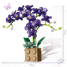 Load image into Gallery viewer, Building Block Flower Orchid Series Bonsai Girl Build Toy Flowers Adult Flower Arrangement Assembly Toys For Gifts