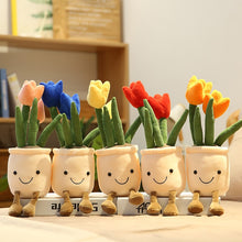 Load image into Gallery viewer, Tulip/Succulent Plant Plushiez