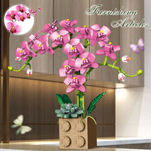 Load image into Gallery viewer, Building Block Flower Orchid Series Bonsai Girl Build Toy
