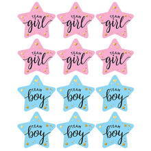 Load image into Gallery viewer, 60-120 Pieces Team Boy Team Girl Stickers Boy or Girl Sticker for Gender Reveal Party Decoration Baby Shower Supplies Gift Box Label
