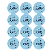 Load image into Gallery viewer, 60/120 Pieces Team Boy Team Girl Baby Shower Boy or Girl  Game Vote gift bag Sticker for Gender Reveal Party Decorations Supplies
