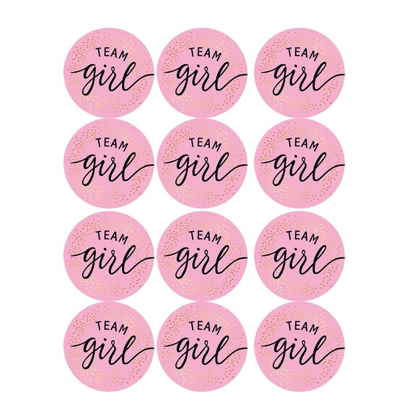 60/120 Pieces Team Boy Team Girl Baby Shower Boy or Girl  Game Vote gift bag Sticker for Gender Reveal Party Decorations Supplies