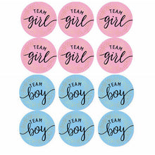 Load image into Gallery viewer, 60/120 Pieces Team Boy Team Girl Baby Shower Boy or Girl  Game Vote gift bag Sticker for Gender Reveal Party Decorations Supplies
