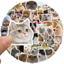 Load image into Gallery viewer, 10/30/50PCS Kawaii Smile Cat Sketchbook Sticker Aesthetic PVC Stationery Children&#39;s Decoration Scrapbooking School Supplies artist art craft
