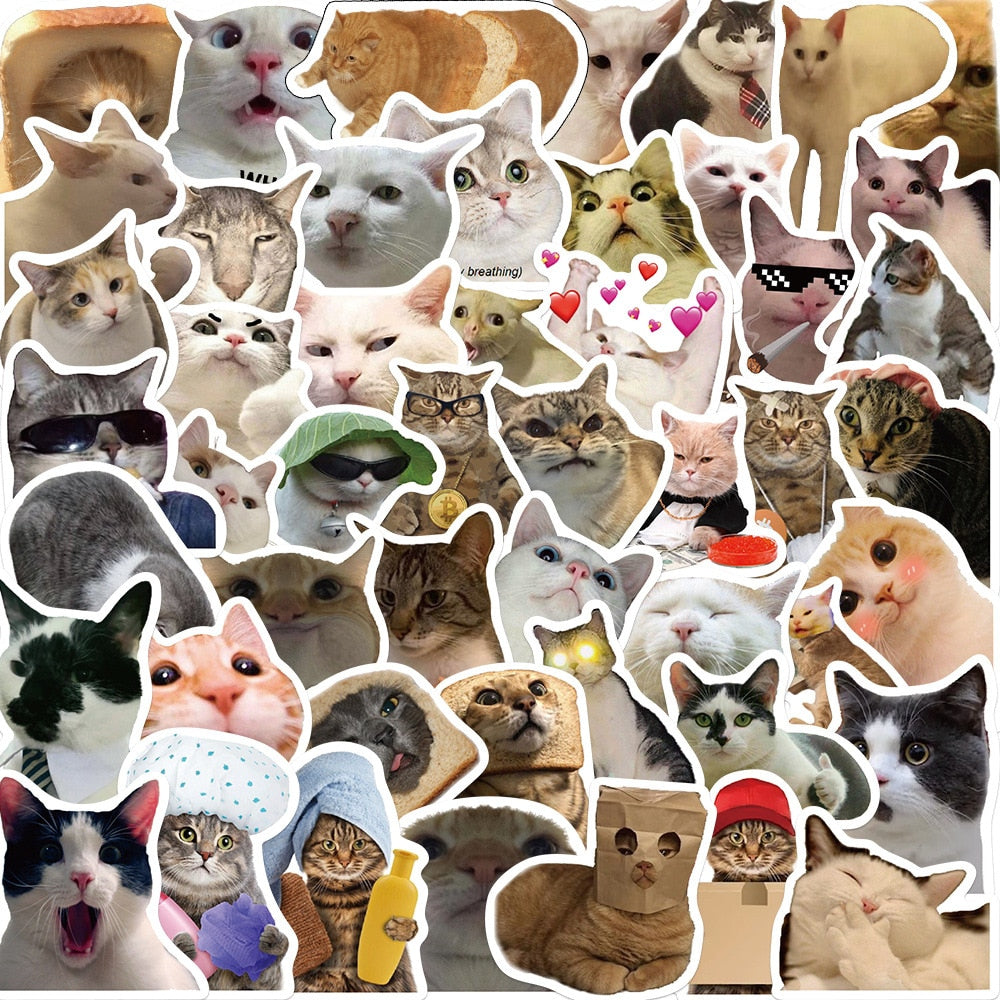 10/30/50 Pieces Cute Meme Animal Cat Kitty Stickers Skateboard Guitar Suitcase Freezer Motorcycle Classic Toy Decal Funny Sticker