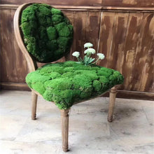 Load image into Gallery viewer, Artificial Green Plants Eternal Life Fake Moss Grass Home Living Room Garden Decoration Mini Landscape Fake Flower DIY Crafts material supplies
