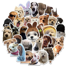 Load image into Gallery viewer, 10/30/50 Pieces Dog Life Meme Sticker Aesthetic PVC Diary Laptop Sketchbook Children&#39;s Stationery Scrapbooking School Supplies
