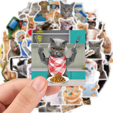 Load image into Gallery viewer, 10/30/65pcs Funny Cute Cat Meme Stickers Kid Toy Scrapbook Notebook Laptop Car Phone art craft supplies Waterproof Sticker Decals
