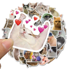 Load image into Gallery viewer, 10-50 Pieces Cat MEME Funny Animals Stickers Vintage Toy DIY Kids Notebook Luggage Motorcycle Laptop Refrigerator Decals Graffiti
