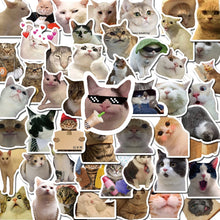 Load image into Gallery viewer, 10-50 Pieces Cat MEME Funny Animals Stickers Vintage Toy DIY Kids Notebook Luggage Motorcycle Laptop Refrigerator Decals Graffiti
