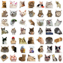 Load image into Gallery viewer, 10/30/50 Pieces Cute Meme Animal Cat Kitty Stickers Skateboard Guitar Suitcase Freezer Motorcycle Classic Toy Decal Funny Sticker
