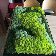 Load image into Gallery viewer, Artificial Green Plants Eternal Life Fake Moss Grass Home Living Room Garden Decoration Mini Landscape Fake Flower DIY Crafts material supplies
