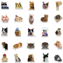 Load image into Gallery viewer, 10/30/50/100pcs Cute Dog Cat MEME Funny Animals Stickers Aesthetic Decals Notebook Laptop Kid Cartoon Sticker Toy art craft supplies
