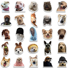 Load image into Gallery viewer, 10/30/50/100pcs Cute Dog Cat MEME Funny Animals Stickers Aesthetic Decals Notebook Laptop Kid Cartoon Sticker Toy art craft supplies
