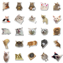 Load image into Gallery viewer, 10-50 Pieces Cat MEME Funny Animals Stickers Vintage Toy DIY Kids Notebook Luggage Motorcycle Laptop Refrigerator Decals Graffiti
