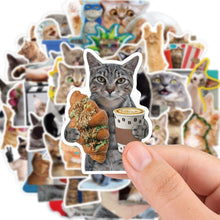 Load image into Gallery viewer, 10/30/65pcs Funny Cute Cat Meme Stickers Kid Toy Scrapbook Notebook Laptop Car Phone art craft supplies Waterproof Sticker Decals
