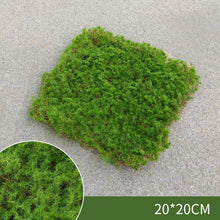 Load image into Gallery viewer, Moss block Real looking Fake Landscape Rockery Turf Lawn Artificial plants for decoration Home garden wall decor crafting material art
