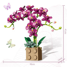 Load image into Gallery viewer, Building Block Flower Orchid Series Bonsai Girl Build Toy Flowers Adult Flower Arrangement Assembly Toys For Gifts
