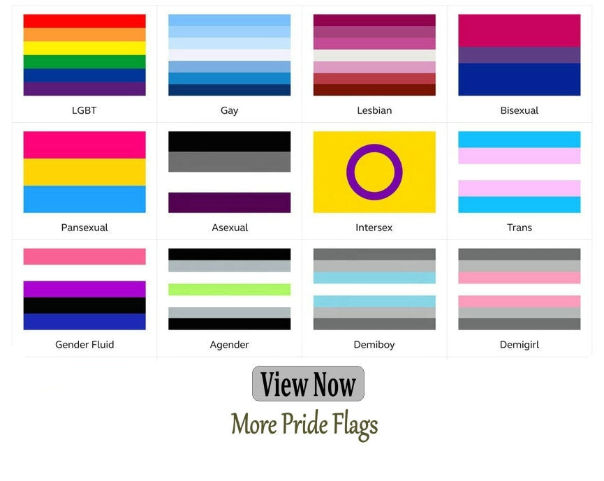 LGBT Flag Gay Pride Peace Aromantic Homosexual Lesbian Non-binary Pansexual Transgender Bisexual Bear pride Genderfluid asexual handmade