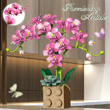 Load image into Gallery viewer, Building Block Flower Orchid Series Bonsai Girl Build Toy Flowers Adult Flower Arrangement Assembly Toys For Gifts
