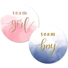 Load image into Gallery viewer, 60/120 Pieces Team Boy Team Girl Baby Shower Boy or Girl  Game Vote gift bag Sticker for Gender Reveal Party Decorations Supplies
