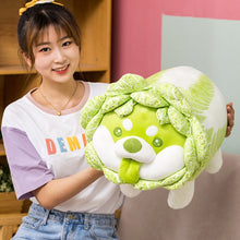 Load image into Gallery viewer, Cute Vegetable Fairy Plush Toys Japanese Cabbage Dog Fluffy Soft Shiba Inu Pillow Stuffed Animals Doll for Kids Baby Girls Gifts
