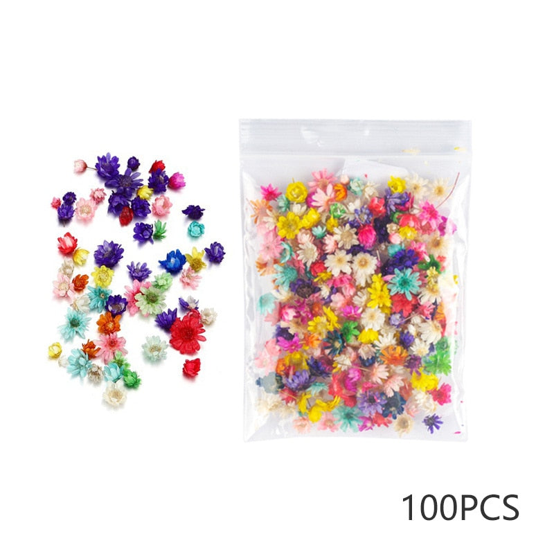 100 pcs Dried Flowers Brazil Little Star Flower DIY Craft Epoxy Resin Candle Nail Art Epoxy Resin Filling Making Jewelry supplies