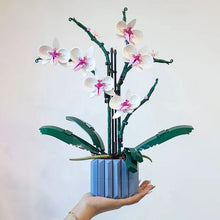 Load image into Gallery viewer, Orchid Bouquet Block flower Potted Building Blocks Romantic Kit Assembly Building Toy Girl Gift First Love DIY building material educational
