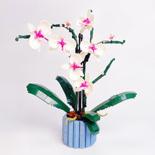 Load image into Gallery viewer, 608PCS Orchid Flowers Potted Building Blocks 10311 Bouquet Blossom Botanical Decoration Bricks Toys For Girls Birthday Gifts
