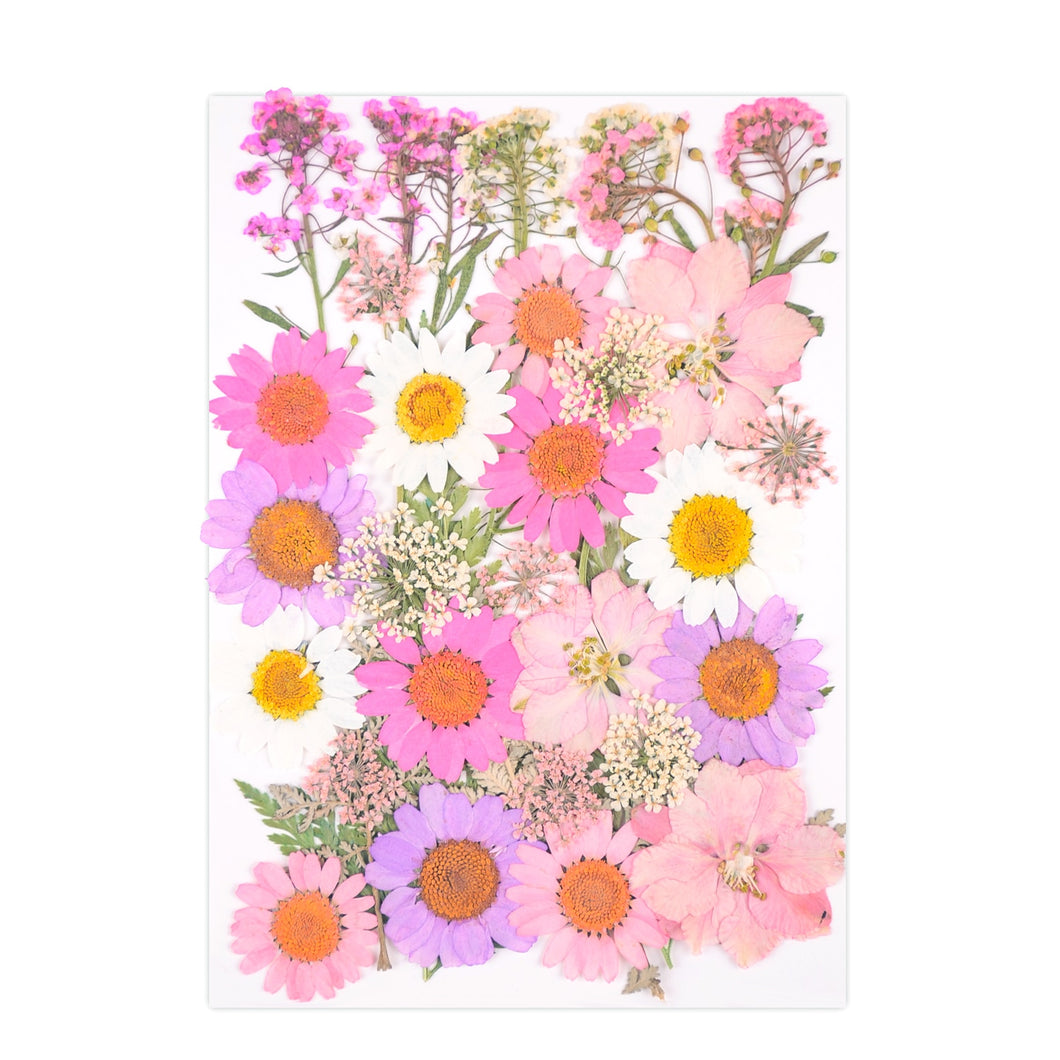 40Pcs/Bag Colorful Flower Field Dried Flowers Natural Plant Pressed Flower Specimen Rose Daisy Lace Resin Mold epoxy acrylic craft art supply