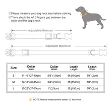 Load image into Gallery viewer, Nylon Custom Dog Puppy Collar Leash Set Personalized Genuine Leather Pet Nameplate ID Tag Accessories Collars Pet Products Perro
