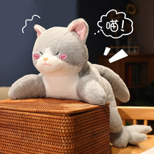 Load image into Gallery viewer, 50-90cm Kawaii Transform Shark Cat Plush Toys Stuffed Cute Cat Doll Lovely Animal Pillow Soft Cartoon Cushion Kid Christmas Gift
