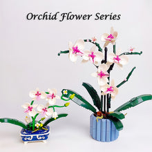 Load image into Gallery viewer, 608PCS Orchid Flowers Potted Building Blocks 10311 Bouquet Blossom Botanical Decoration Bricks Toys For Girls Birthday Gifts
