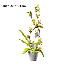 Load image into Gallery viewer, Building Block Flower Orchid Series Bonsai Girl Build Toy Flowers Adult Flower Arrangement Assembly Toys For Gifts
