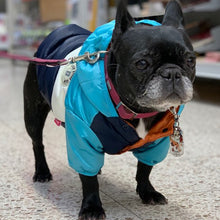Load image into Gallery viewer, Waterproof Big Dog Down Jacket Winter Warm Dog Clothes for Small Medium Large Dogs French Bulldog Pug Hooded Coat Pets Clothing
