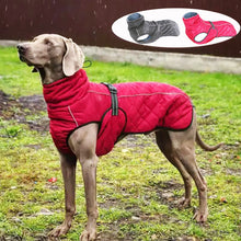 Load image into Gallery viewer, Dog Outdoor Jacket Waterproof Reflective Pet Coat Vest Winter Warm Cotton Dogs Clothing for Large Middle Dogs  Labrador
