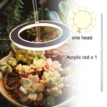 Load image into Gallery viewer, Angel Three Ring Grow Light DC5V USB Phytolamp For Plants Led Full Spectrum Lamp For Indoor Plant Seedlings Home Flower Succulet
