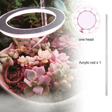 Load image into Gallery viewer, Angel Three Ring Grow Light DC5V USB Phytolamp For Plants Led Full Spectrum Lamp For Indoor Plant Seedlings Home Flower Succulet
