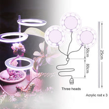 Load image into Gallery viewer, Angel Three Ring Grow Light DC5V USB Phytolamp For Plants Led Full Spectrum Lamp For Indoor Plant Seedlings Home Flower Succulet
