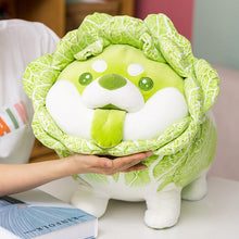 Load image into Gallery viewer, 20-50cm Cute Japanese Vegetable Dog Plush Toys Creative Chinese Cabbage Shiba Inu Pillow Stuffed Animal Sofa Cushion Baby Gifts
