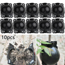 Load image into Gallery viewer, 10pcs Plant Rooting Equipment High Pressure Propagation Ball Graft Box Breeding Case For Garden Graft Box Sapling

