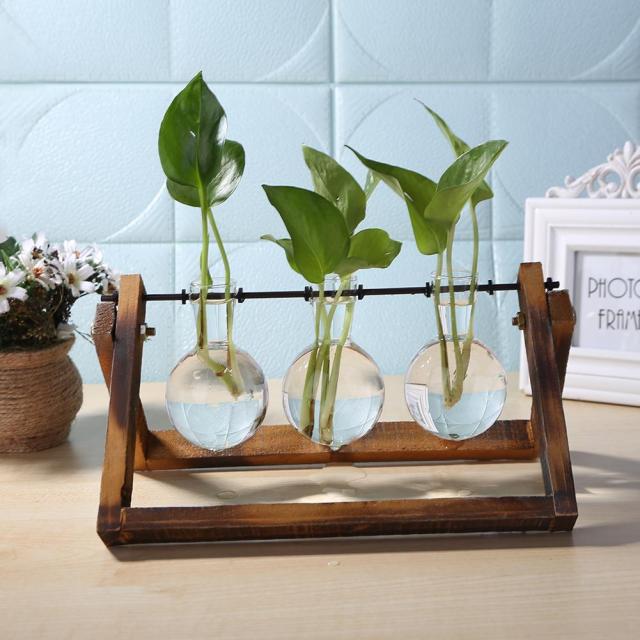 Terrarium Hydroponic Glass Vase Wood Frame DIY Art Bonsai Table Ornaments and Planter Table Desktop Craft supplies tools greenery planter