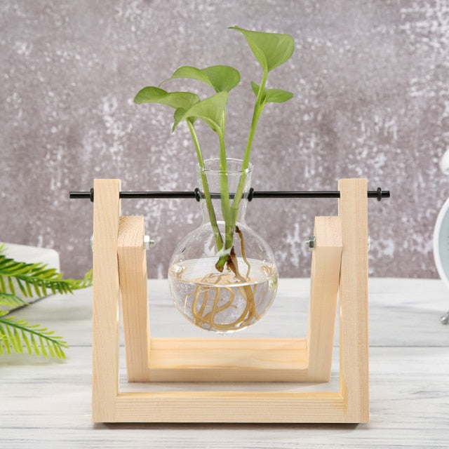 Terrarium Hydroponic Glass Vase Wood Frame DIY Art Bonsai Table Ornaments and Planter Table Desktop Craft supplies tools greenery planter