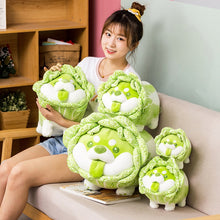 Load image into Gallery viewer, Cute Vegetable Fairy Plush Toys Japanese Cabbage Dog Fluffy Soft Shiba Inu Pillow Stuffed Animals Doll for Kids Baby Girls Gifts
