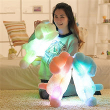 Load image into Gallery viewer, 50/35cm Hot Sale Colorful Luminous Teddy Dog LED Light Plush Pillow Cushion Kids Toy Stuffed Animal Doll Birthday Gift for Child
