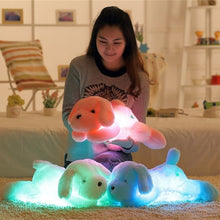 Load image into Gallery viewer, 50/35cm Hot Sale Colorful Luminous Teddy Dog LED Light Plush Pillow Cushion Kids Toy Stuffed Animal Doll Birthday Gift for Child
