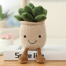 Load image into Gallery viewer, Lifelike Succulent Plants Plush Stuffed Decor Toys Soft Bookshelf Decor Doll Creative Potted Flowers Pillow for Girls Gift
