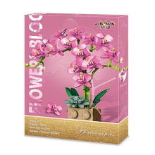 Load image into Gallery viewer, Building Block Flower Orchid Series Bonsai Girl Build Toy
